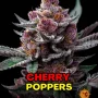 Семена конопли Cherry Poppers от Barney's Farm